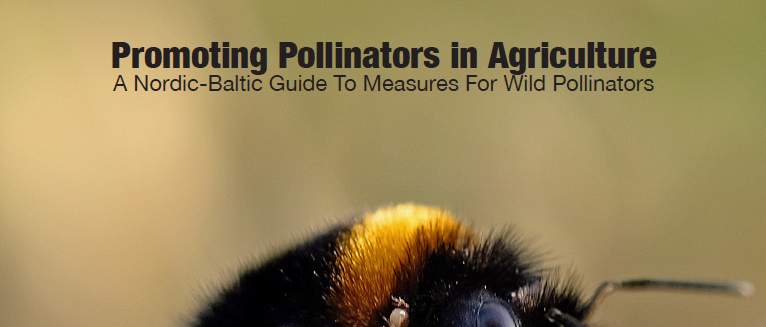 Promoting Pollinators in Agriculture